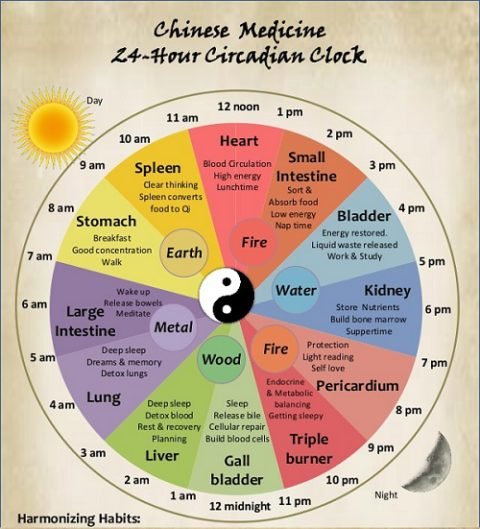 what-s-your-healthiest-day-the-tcm-clock-acupuncture-ottawa-tcm-tcmworks