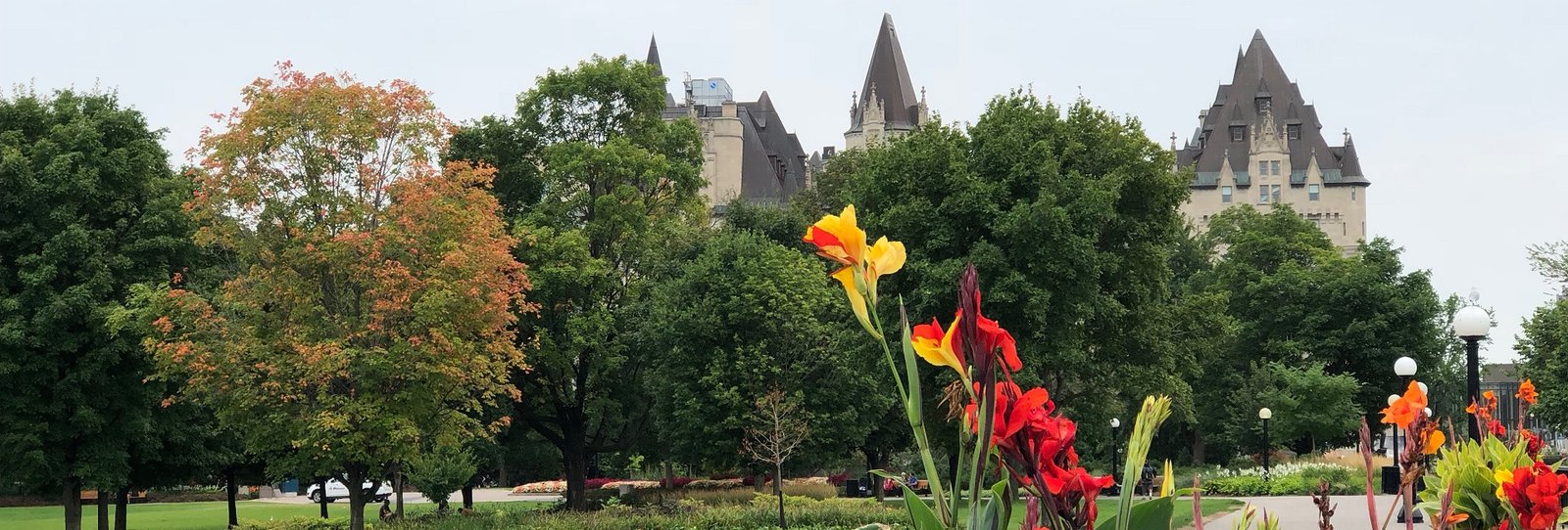 TCM Improves Cancer Acupuncture Ottawa TCM tcmworks