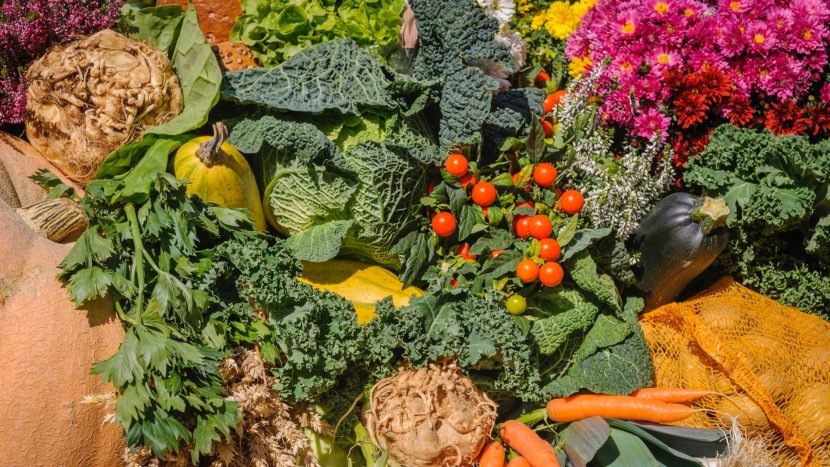 fall veggies