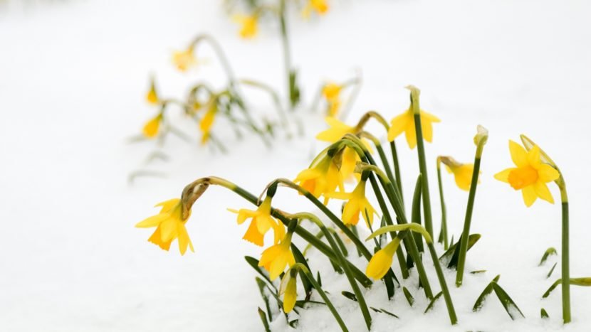 Seasonal change: winter to spring